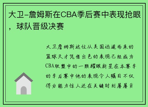 大卫-詹姆斯在CBA季后赛中表现抢眼，球队晋级决赛